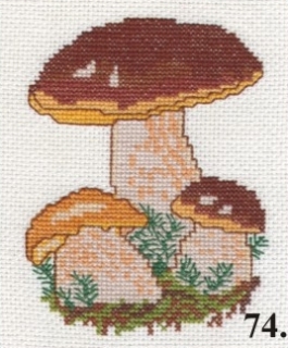 74