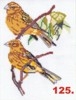 125