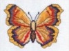 146