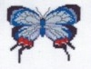 147