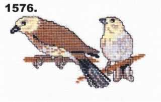 1576