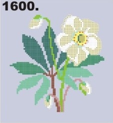 1600