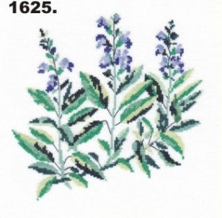 1625