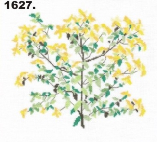 1627