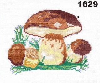 1629