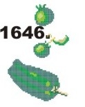 1646