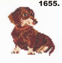 1655