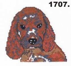 1707