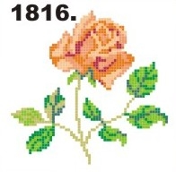 1816