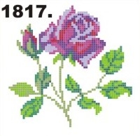 1817