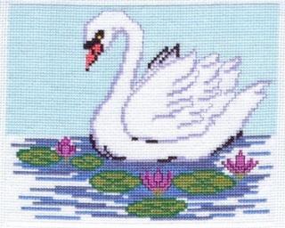 629