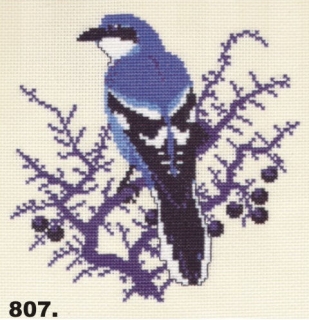 807