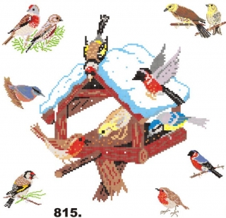 815